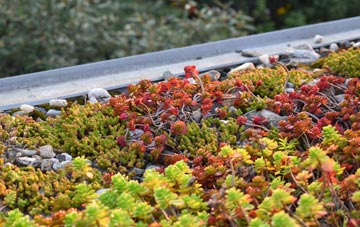 the cost of Dunsop Bridge green roof installation