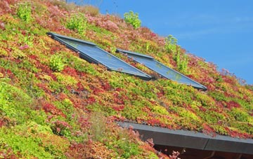 Dunsop Bridge living roof systems